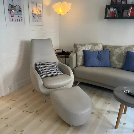 Cosy Lägenhet Odense
